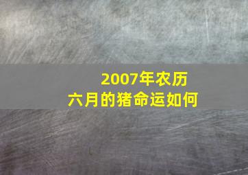 2007年农历六月的猪命运如何