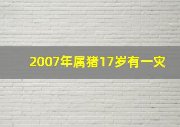 2007年属猪17岁有一灾