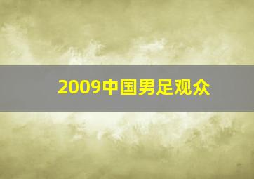 2009中国男足观众