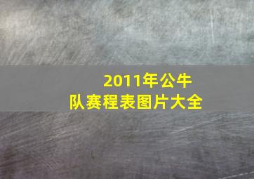 2011年公牛队赛程表图片大全