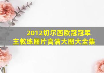 2012切尔西欧冠冠军主教练图片高清大图大全集