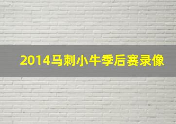 2014马刺小牛季后赛录像