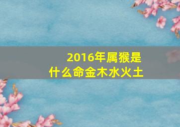 2016年属猴是什么命金木水火土