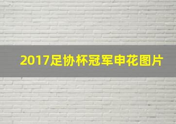 2017足协杯冠军申花图片