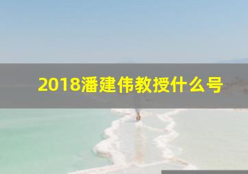 2018潘建伟教授什么号