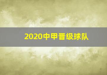 2020中甲晋级球队