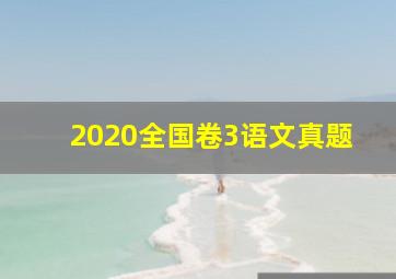 2020全国卷3语文真题