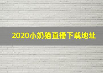 2020小奶猫直播下载地址