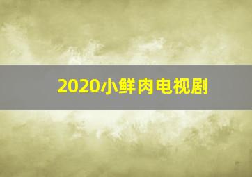 2020小鲜肉电视剧