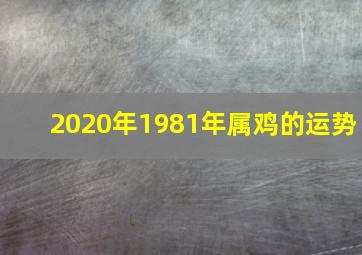 2020年1981年属鸡的运势