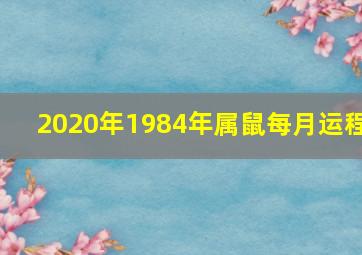 2020年1984年属鼠每月运程