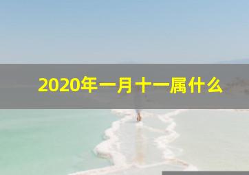 2020年一月十一属什么