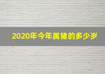 2020年今年属猪的多少岁