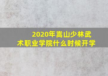 2020年嵩山少林武术职业学院什么时候开学