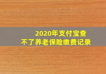 2020年支付宝查不了养老保险缴费记录