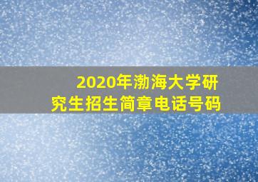 2020年渤海大学研究生招生简章电话号码