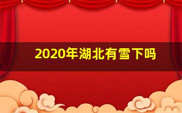 2020年湖北有雪下吗