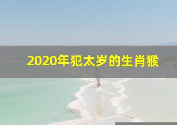 2020年犯太岁的生肖猴