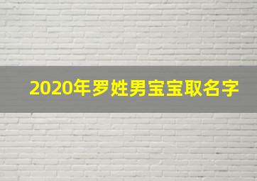 2020年罗姓男宝宝取名字