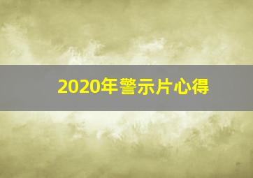 2020年警示片心得