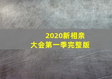 2020新相亲大会第一季完整版