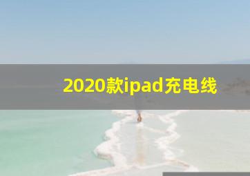 2020款ipad充电线