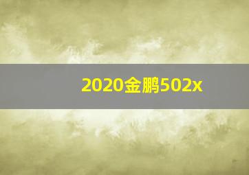 2020金鹏502x