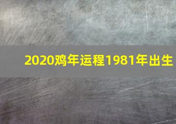 2020鸡年运程1981年出生