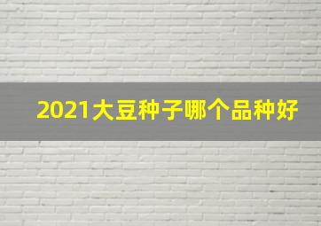 2021大豆种子哪个品种好