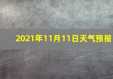 2021年11月11日天气预报