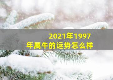 2021年1997年属牛的运势怎么样