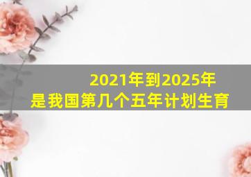 2021年到2025年是我国第几个五年计划生育