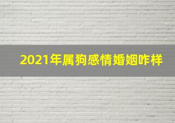 2021年属狗感情婚姻咋样