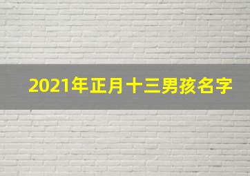 2021年正月十三男孩名字