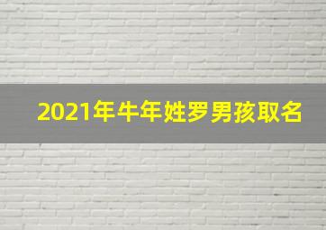 2021年牛年姓罗男孩取名