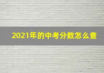 2021年的中考分数怎么查