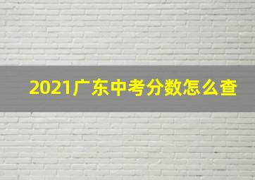 2021广东中考分数怎么查