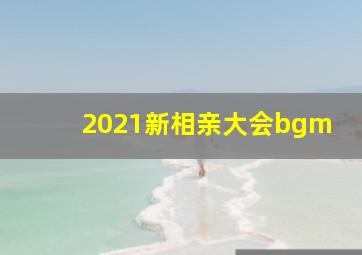 2021新相亲大会bgm