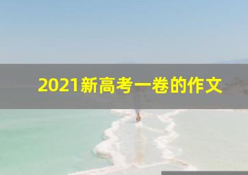 2021新高考一卷的作文