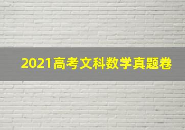 2021高考文科数学真题卷