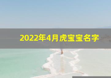 2022年4月虎宝宝名字