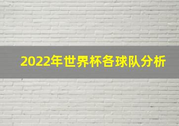 2022年世界杯各球队分析