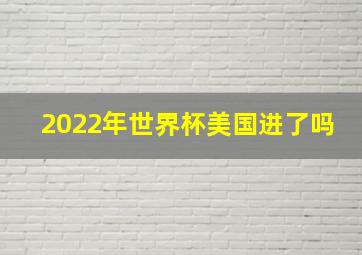 2022年世界杯美国进了吗