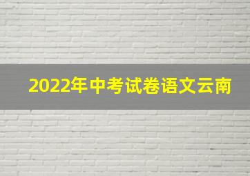 2022年中考试卷语文云南