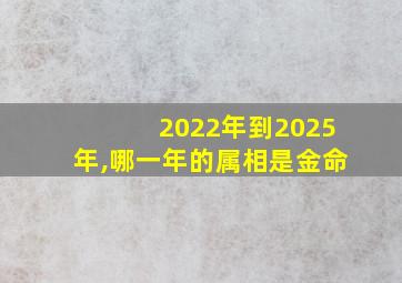 2022年到2025年,哪一年的属相是金命