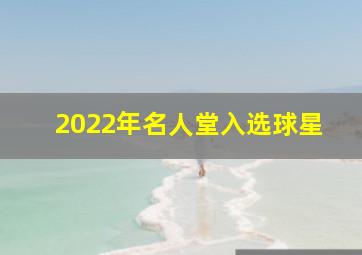 2022年名人堂入选球星