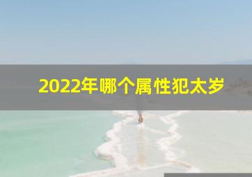 2022年哪个属性犯太岁