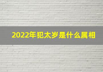 2022年犯太岁是什么属相