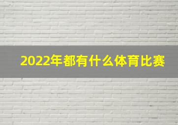 2022年都有什么体育比赛