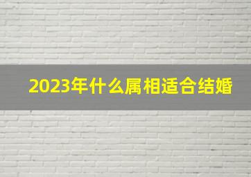 2023年什么属相适合结婚